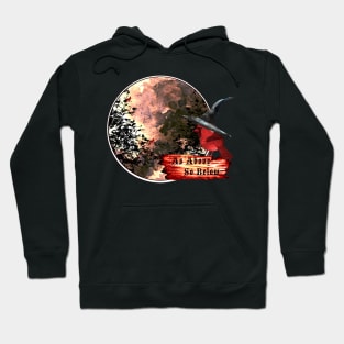 full Moon cardinal bird as above so below witches working Hoodie